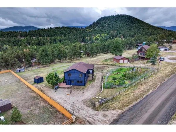 196 Conifer Dr, Bailey, CO 80421