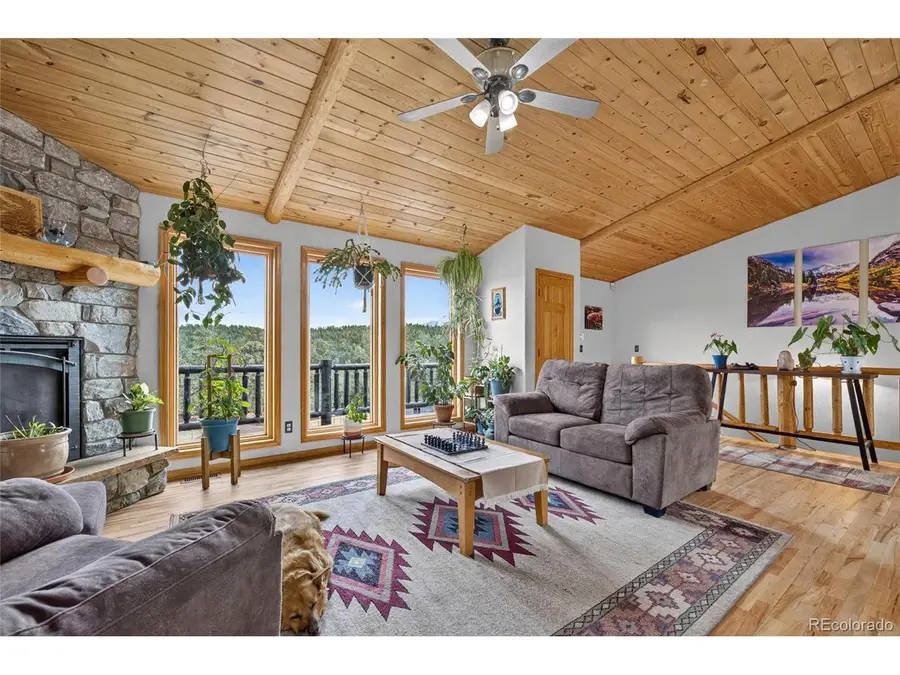 196 Conifer Dr, Bailey, CO 80421 - #2
