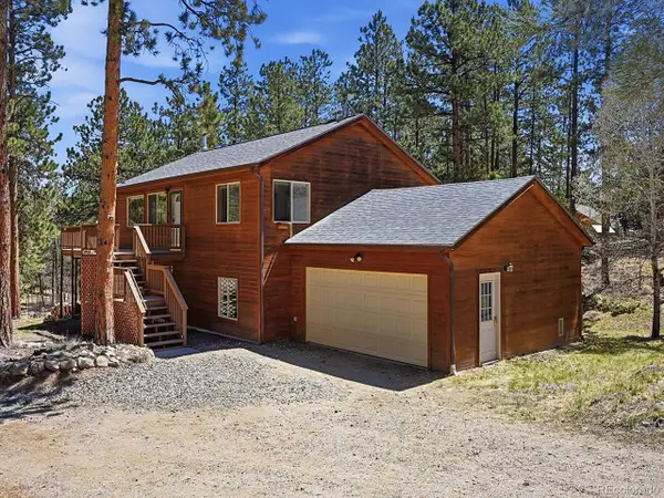 234 Impala Trl, Bailey, CO 80421