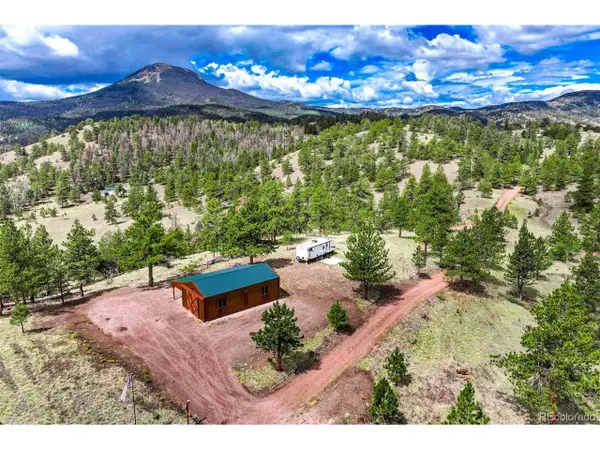 75 Deer Run, Guffey, CO 80820