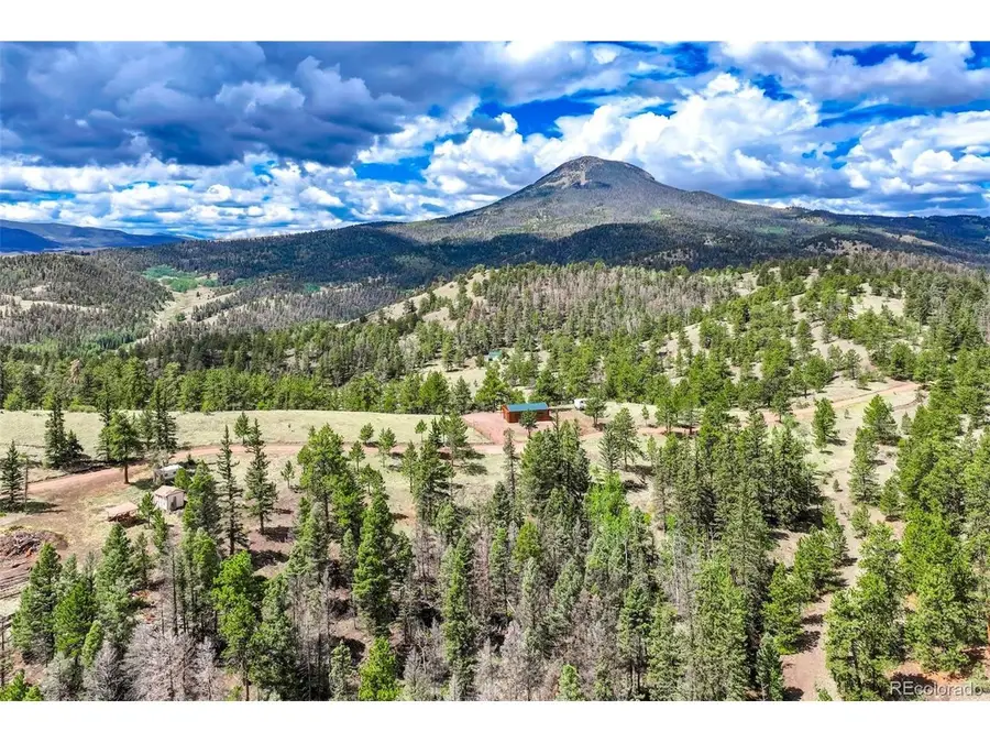 75 Deer Run, Guffey, CO 80820 - #2
