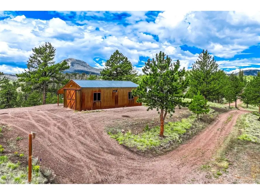 75 Deer Run, Guffey, CO 80820 - #3