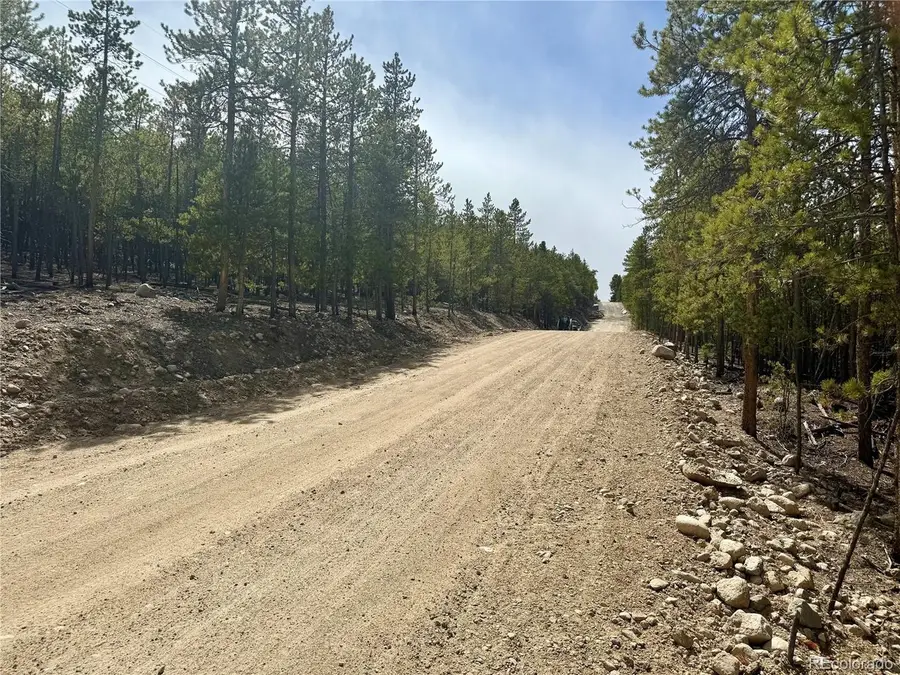 1127 Sequoia Dr, Twin Lakes, CO 80461 - #3