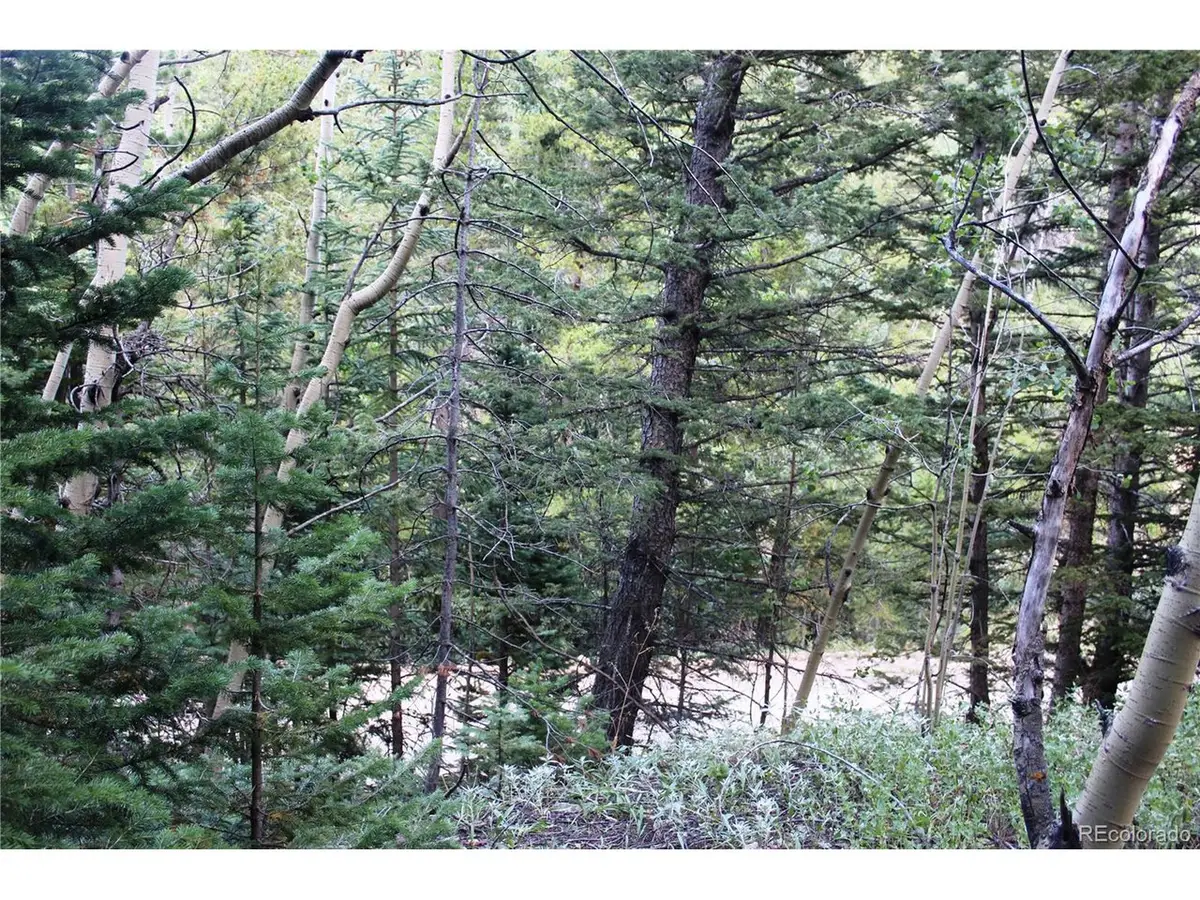 5340 Fs 718.1, Black Hawk, CO 80422 - #1