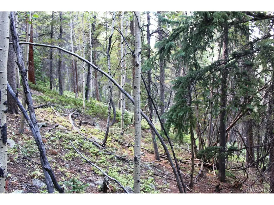 5340 Fs 718.1, Black Hawk, CO 80422 - #2