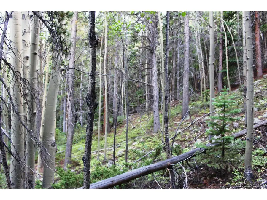 5340 Fs 718.1, Black Hawk, CO 80422 - #3
