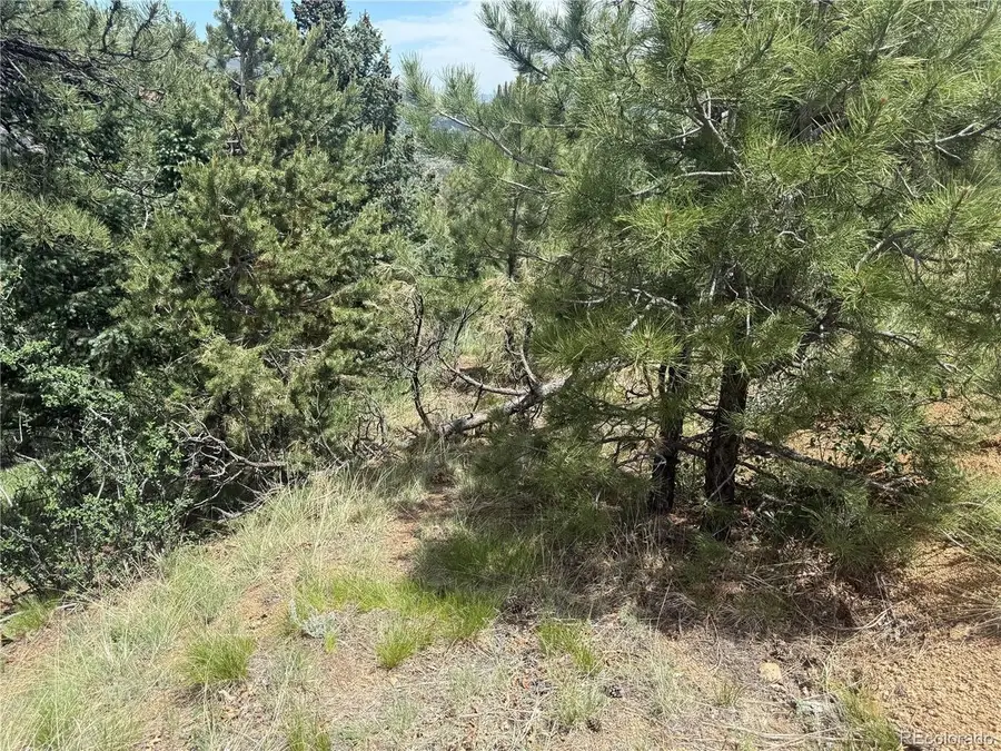 358 Sugarloaf, Manitou Springs, CO 80829 - #2