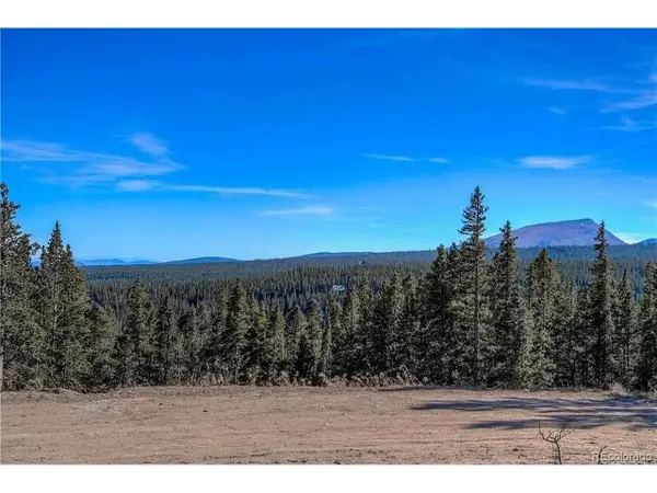 300 Gallagher Ln, Fairplay, CO 80440