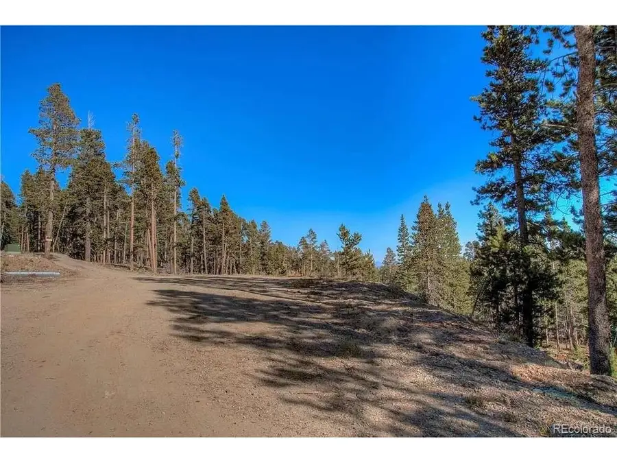 300 Gallagher Ln, Fairplay, CO 80440 - #2