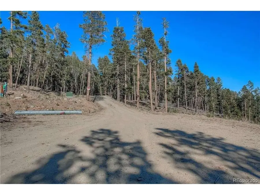 300 Gallagher Ln, Fairplay, CO 80440 - #3