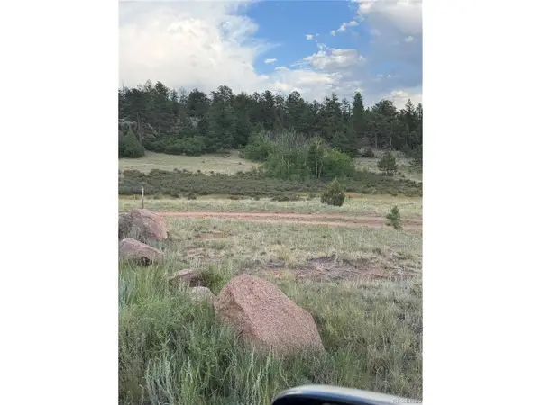 204 Pike View Ln, Florissant, CO 80816