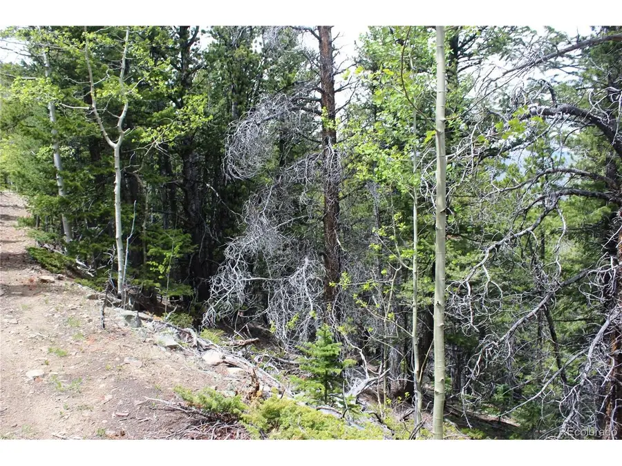 16564 Pennsylvania, Idaho Springs, CO 80461 - #3