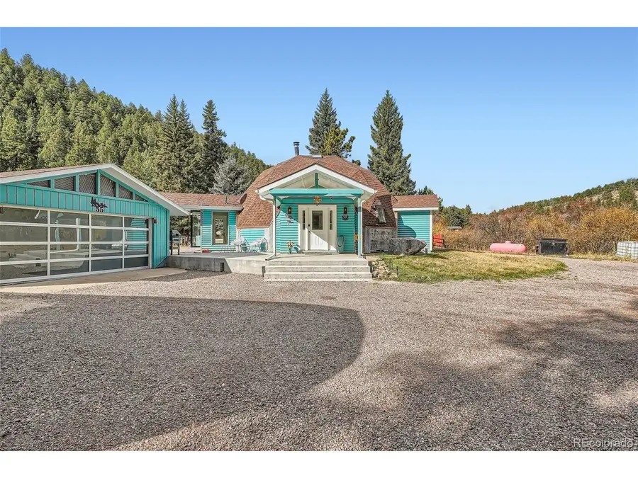 55 Iron Horse Ln, Bailey, CO 80421 - #2