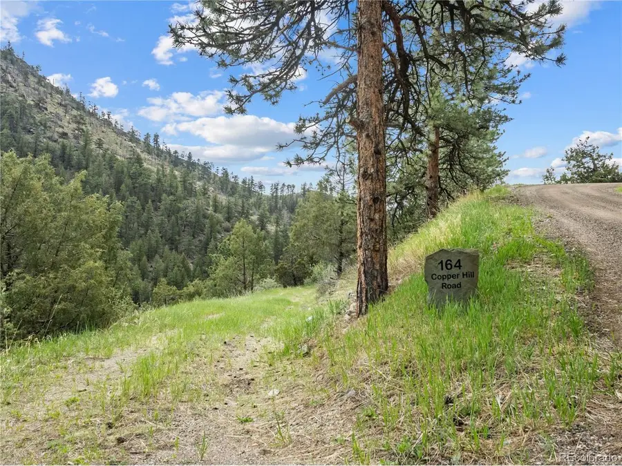 164 Copper Hill Rd, Glen Haven, CO 80532 - #3