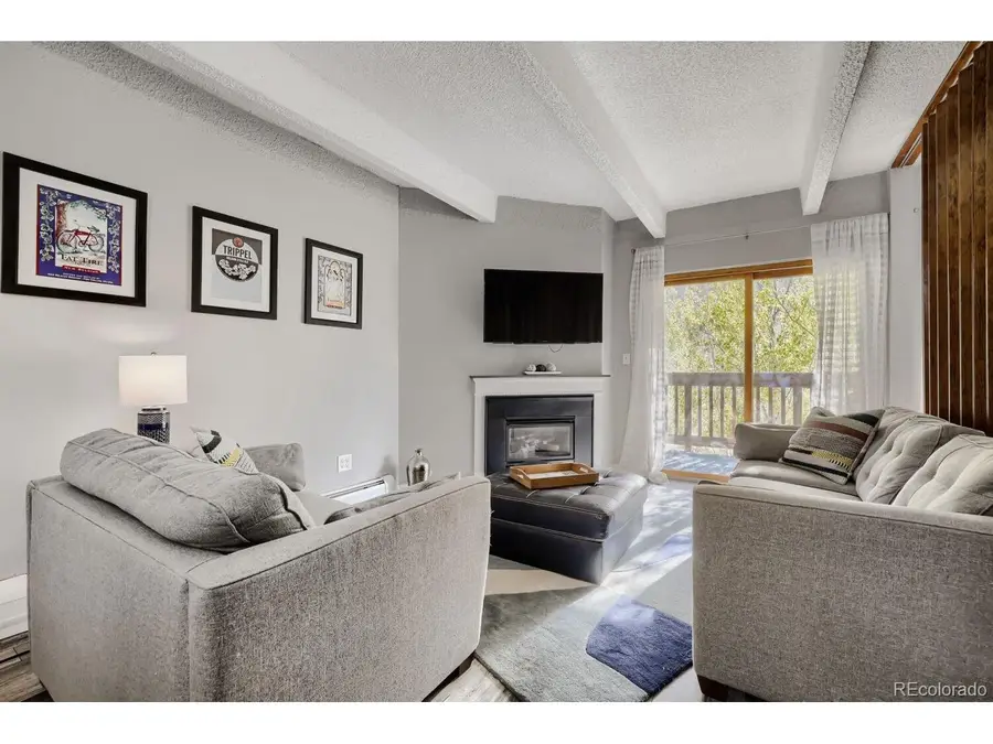 200 Granite St #318, Frisco, CO 80443 - #3