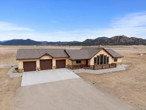 24240 River Meadow Dr, Buena Vista, CO 81211