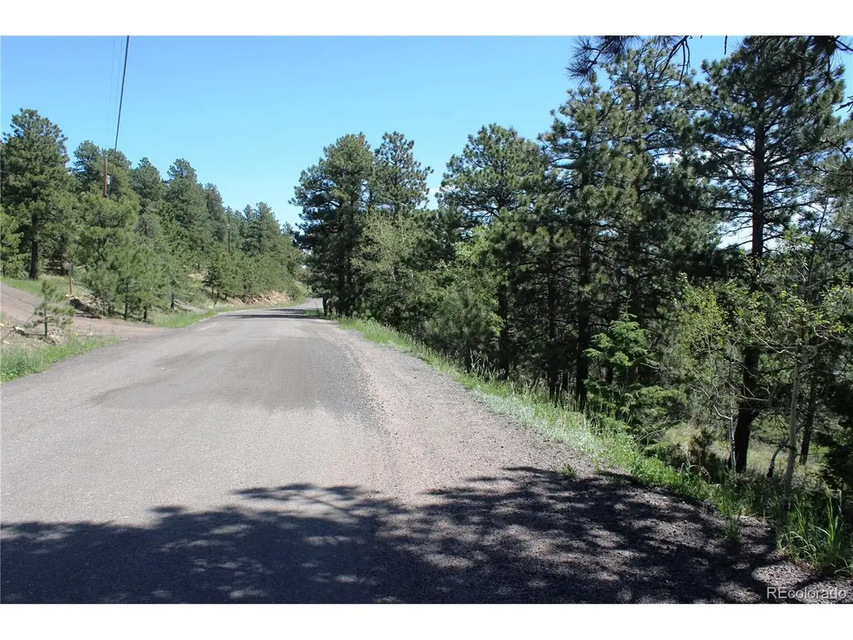 11702 Overlook Dr, Golden, CO 80403 - #1
