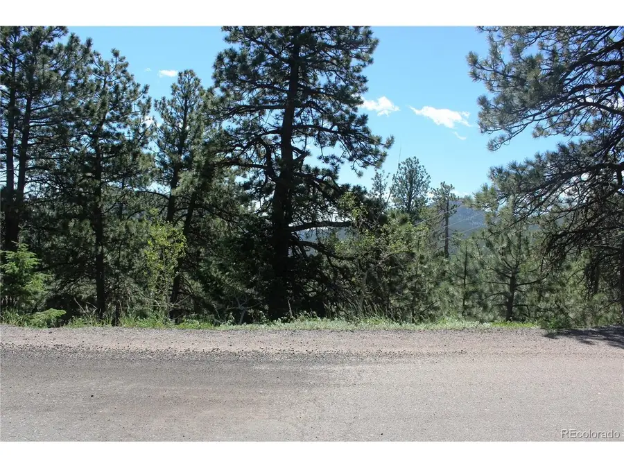 11702 Overlook Dr, Golden, CO 80403 - #3