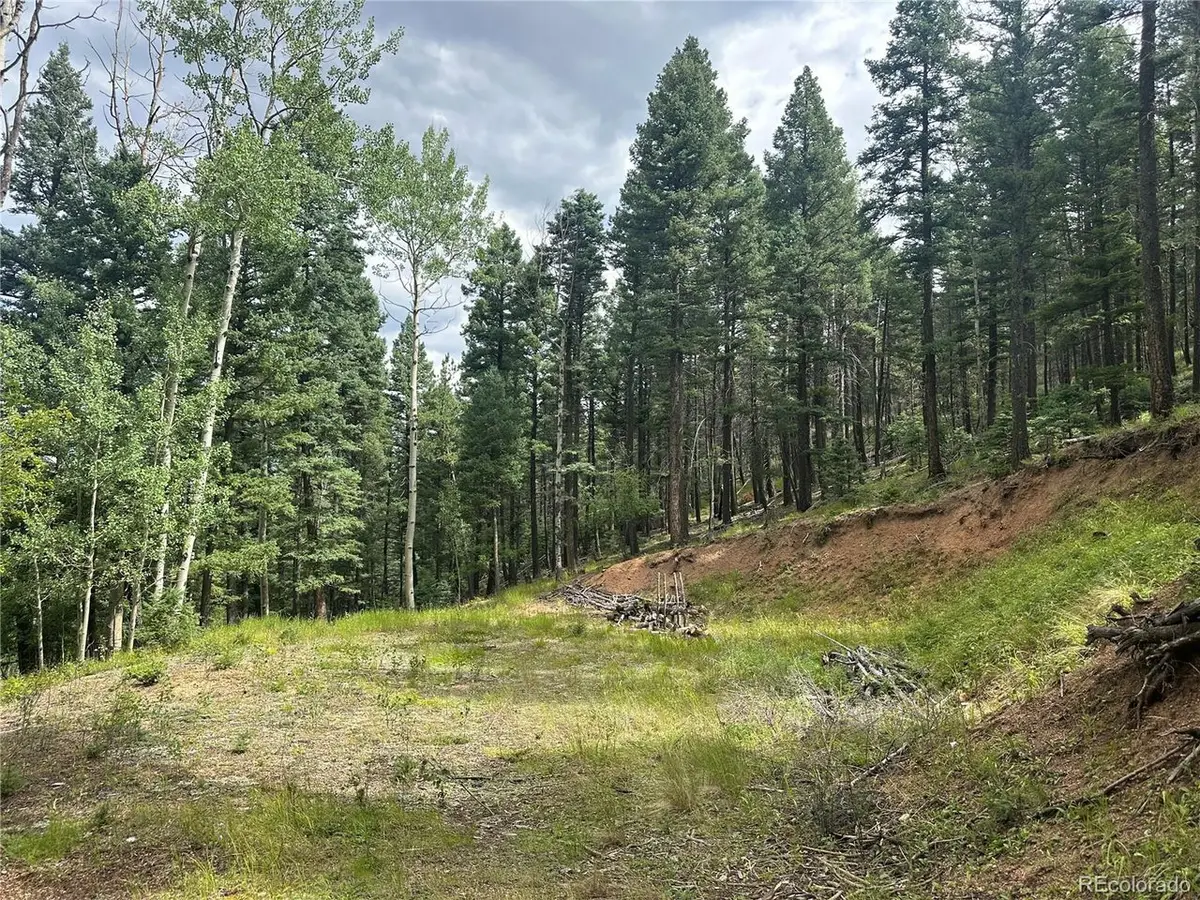 272 Fern Valley, Manitou Springs, CO 80829 - #1