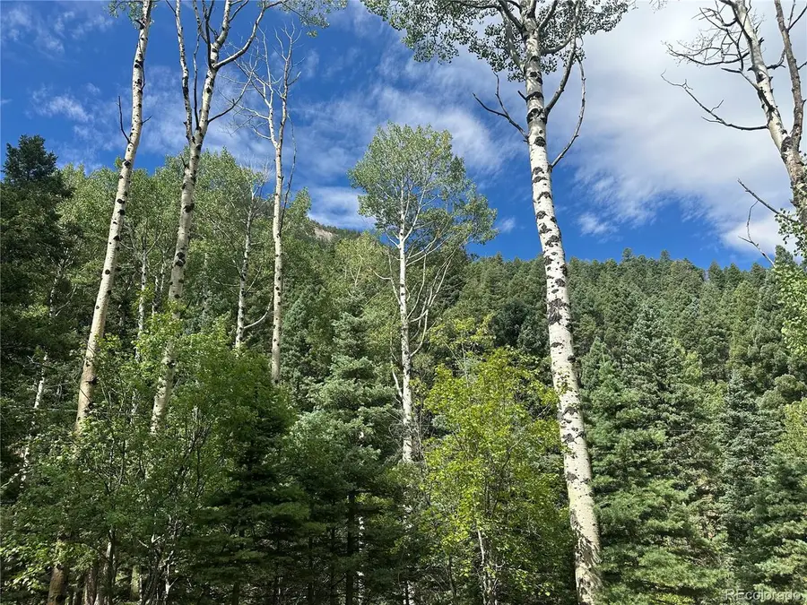 272 Fern Valley, Manitou Springs, CO 80829 - #2