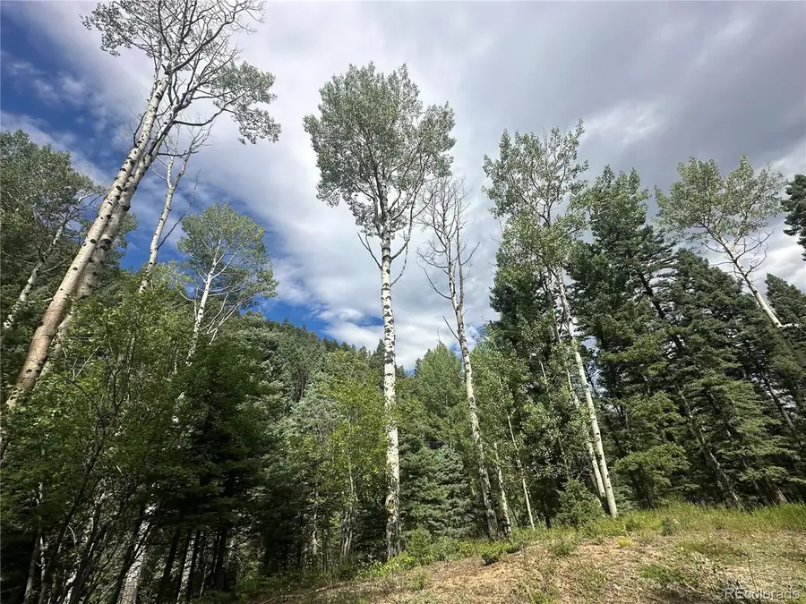 272 Fern Valley, Manitou Springs, CO 80829 - #3