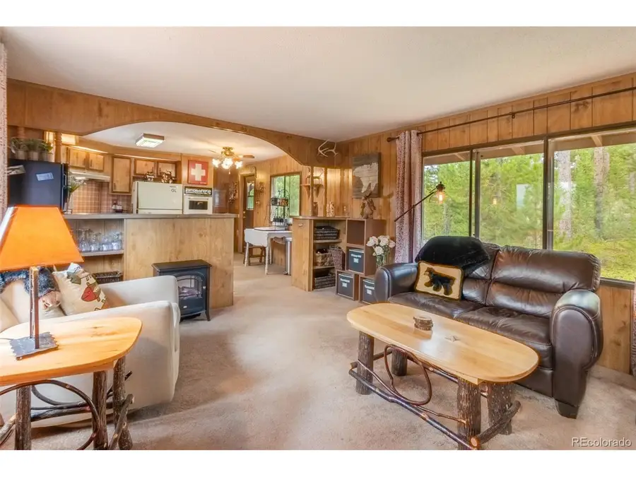 345 County Road 4624, Grand Lake, CO 80447 - #3