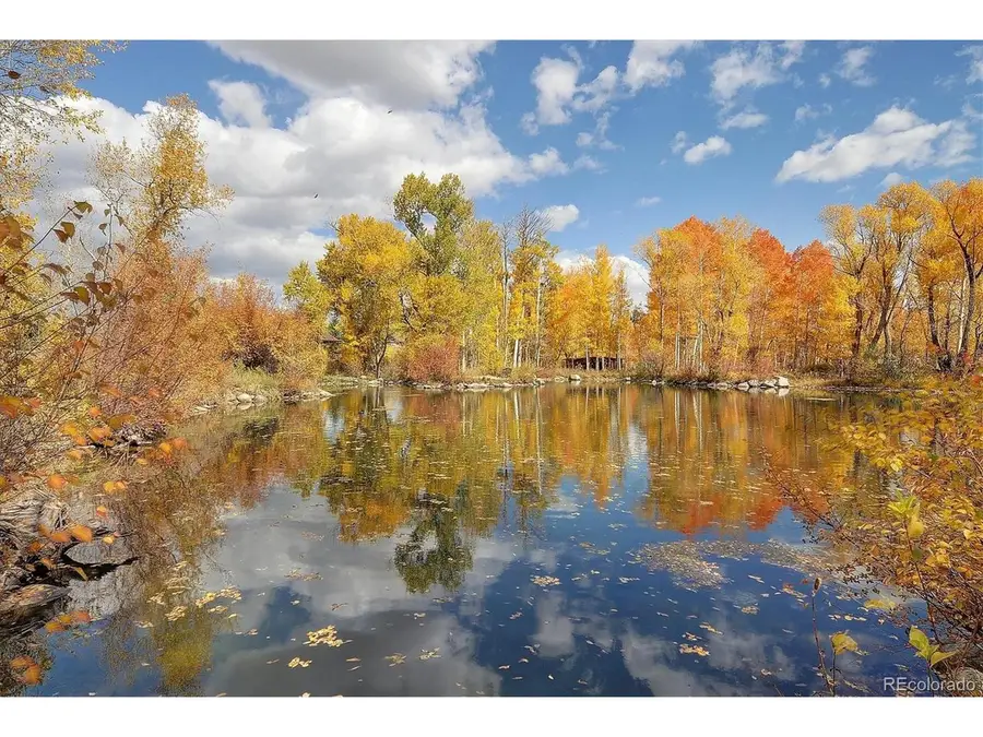 17573 Trout Cir, Buena Vista, CO 81211 - Image #3