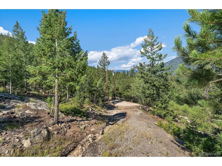 33844 Bergen View Trl, Evergreen, CO 80439 - #2