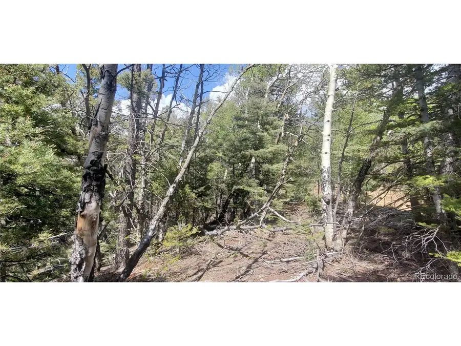 Address Withheld By Seller, Fort Garland, CO 81133 - #2