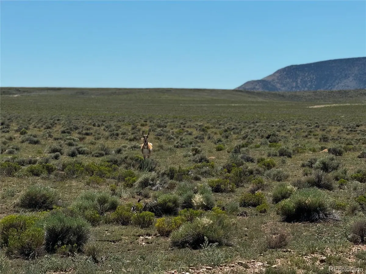 18 Russ Rd, San Luis, CO 81152 - #1