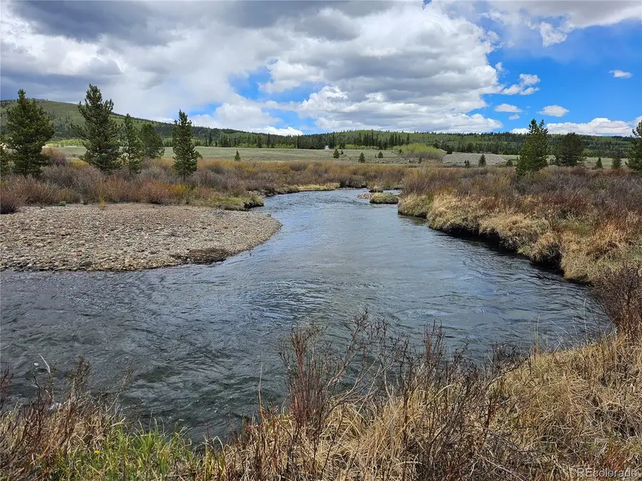 700 Looney Ln, Alma, CO 80420 - #3