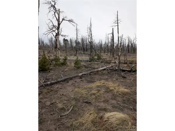 2296 Wohlstetter Loop, Fort Garland, CO 81133