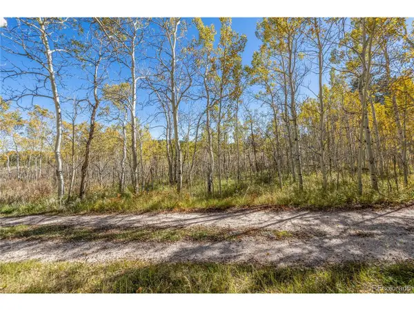 Lot 2a & 2b, Red Feather Lakes, CO 80545