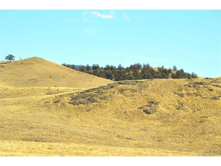 Address Withheld By Seller, Hartsel, CO 80449 - Image #3