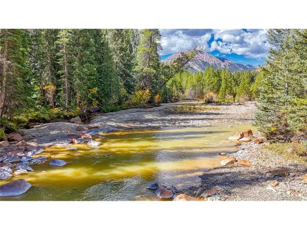 Tbd Highway 82, Twin Lakes, CO 81251