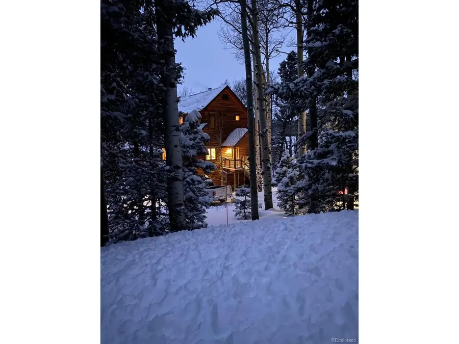 2842 Wendt Ln, Fort Garland, CO 81133 - #3