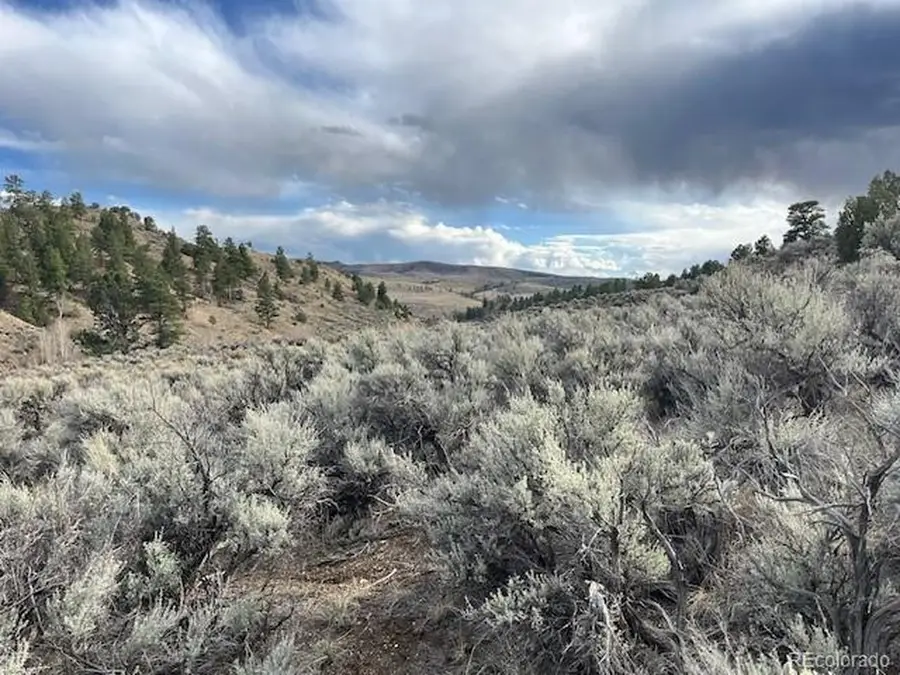 Address Withheld By Seller, Fort Garland, CO 81133 - #3