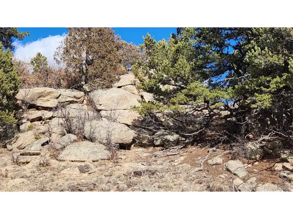 47 White Cloud Dr, Cotopaxi, CO 81223