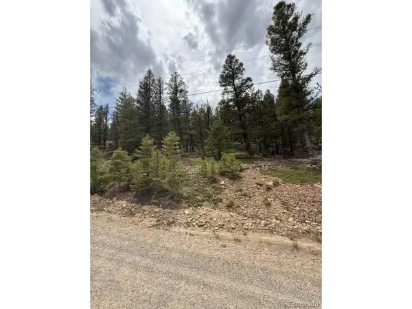 2689 Redhill Rd, Fairplay, CO 80440