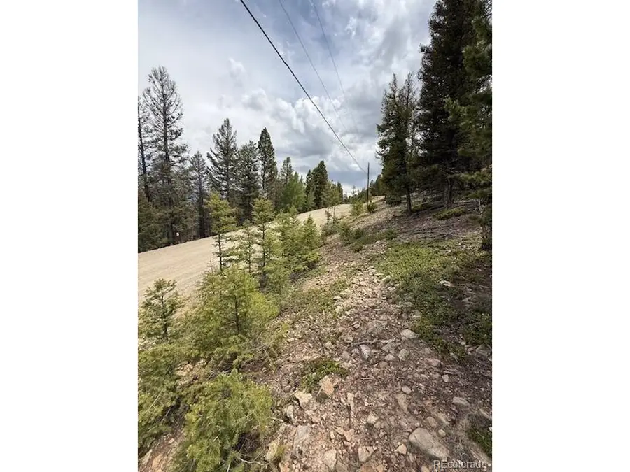 2689 Redhill Rd, Fairplay, CO 80440 - #2
