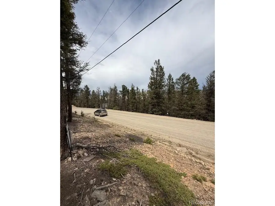 2689 Redhill Rd, Fairplay, CO 80440 - #3