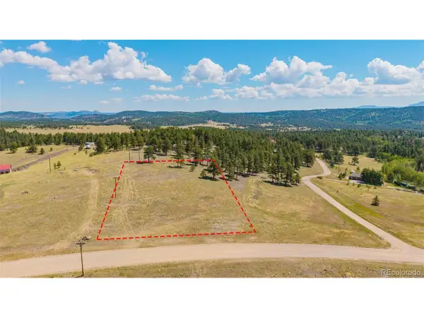 14 County Rd 403, Florissant, CO 80816