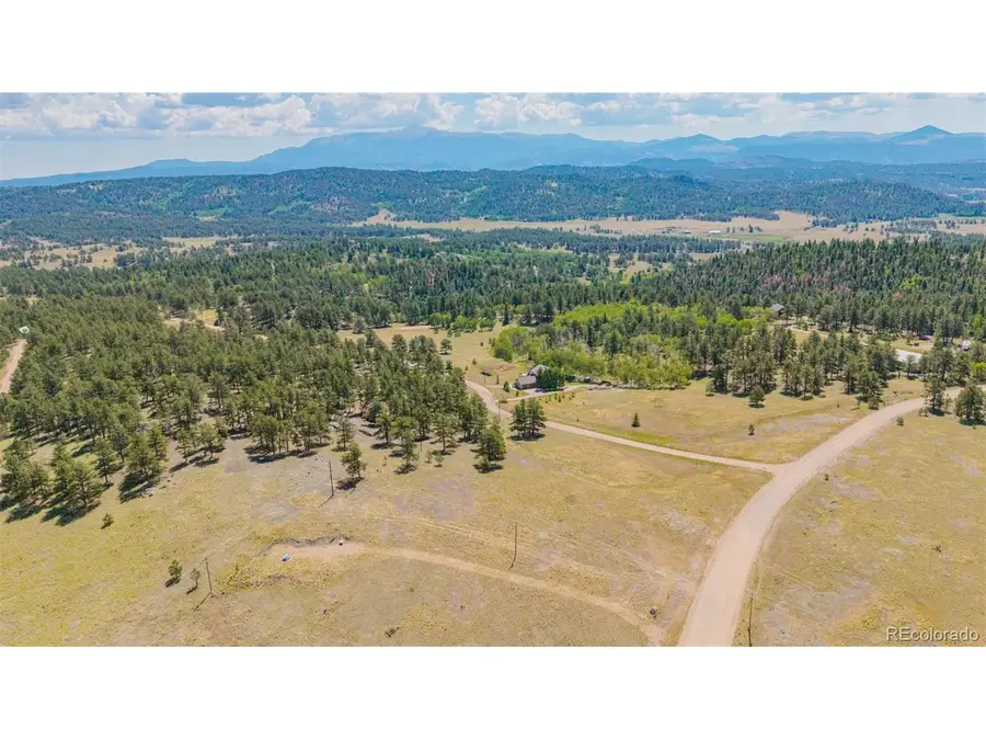14 County Rd 403, Florissant, CO 80816 - #3