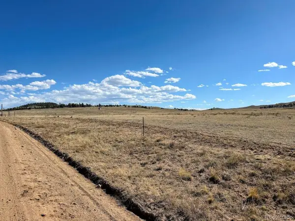 0 Chickasaw Rd, Hartsel, CO 80449