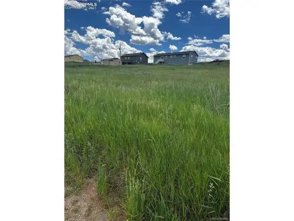 1298 Will Scarlet Dr, Divide, CO 80814