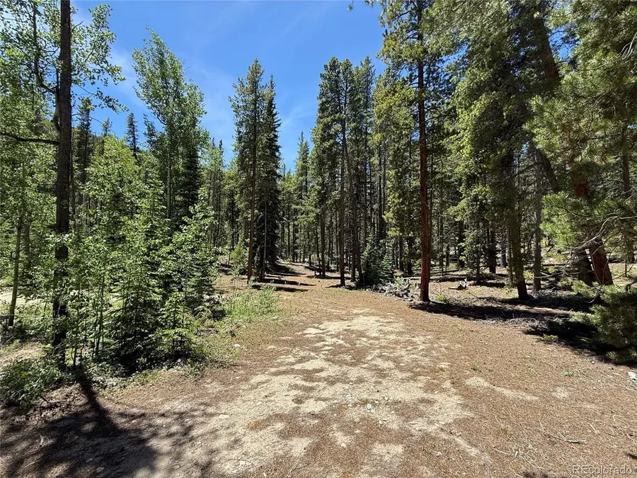 19 Rainbow Rd, Idaho Springs, CO 80452 - #2