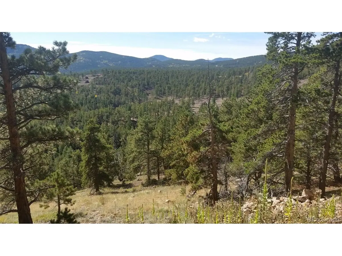 32778 Janelle Ln, Golden, CO 80403 - #1