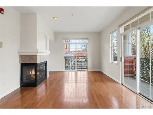 1747 N Washington St #A101, Denver, CO 80203