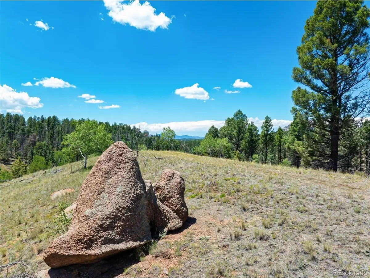 404 Morning Star Creek Trl, Florissant, CO 80816 - #1
