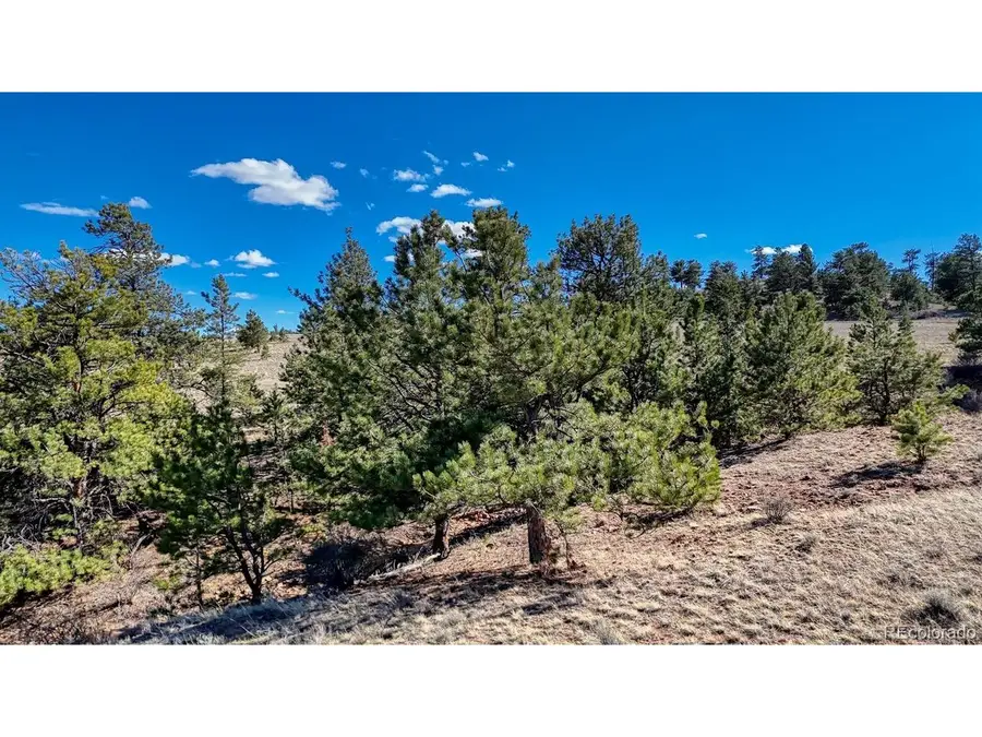 5090 Arikara, Hartsel, CO 80449 - #2
